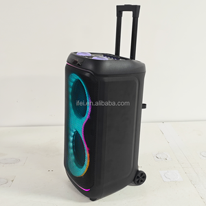 Enceinte portable sans fil pour DJ, karaoké, fête, studio, double haut-parleur de 8 pouces, basses puissantes, LED RVB, utilisation en extérieur, sur scène, sur ordinateur, IFeiGift 2845 - Product Image 6