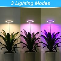 Lampe de croissance pour plantes d'intérieur, hauteur réglable, minuterie automatique, intensité variable, LED 5V basse tension sécurisée