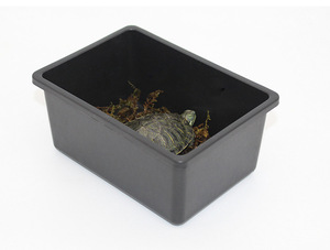<span class=keywords><strong>Caja</strong></span> <span class=keywords><strong>de</strong></span> alimentación para reptiles, <span class=keywords><strong>caja</strong></span> alimentadora <span class=keywords><strong>de</strong></span> rejilla, jaula <span class=keywords><strong>de</strong></span> transporte para reptiles para tortugas - Product Image 6