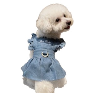 Summer Thin Denim <b>Princess</b> Dress For Small Dogs Teddy Breathable Spring Summer Skirt Lace Trim Pet <b>Clothes</b> - Product Image 5
