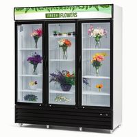 Vitrine Réfrigérée Commerciale Monotempérature en Acier Inoxydable avec Porte Vitrée, Éclairage LED, Sans Givre