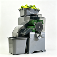 Presse-agrumes électrique professionnel pour citrons, citrons verts, calamansi et autres agrumes – Idéal pour la cuisine commerciale
