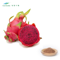 Poudre de Pitaya Rouge 100% Soluble dans l'Eau, Poudre de Fruit du Dragon, Prix de Gros