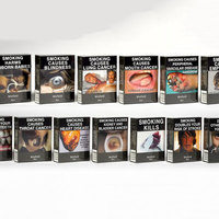 Boîtes pour fumeurs d'emballage de cigarettes de tabac en paquet ordinaire normalisé en carton papier personnalisé