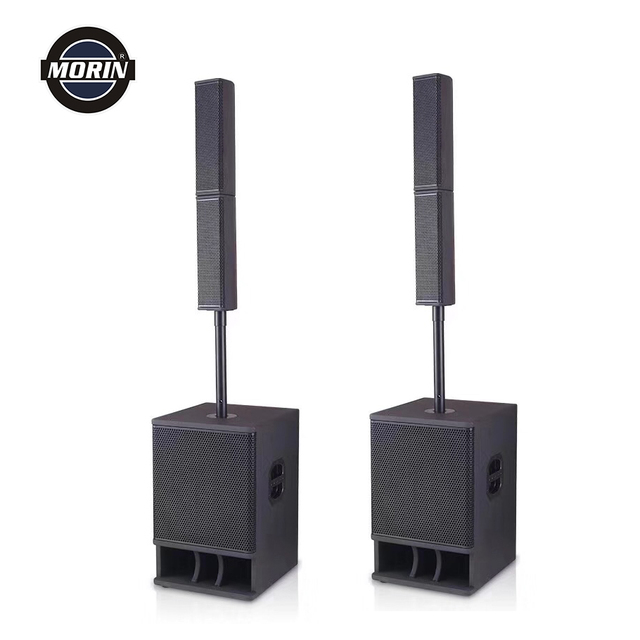 Active Powered Pa Column Speaker System with Italy Component, Build in DSP