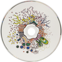 Disco de CD de Audio con Diseño Artístico Pintado, CD con Diseño de Retrato en Acuarela para Lanzamientos de Álbumes Artísticos