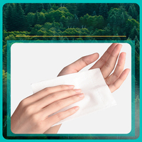 Papier toilette écologique en pâte vierge de bois soluble dans l'eau pour usage familial – Vente en gros