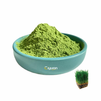 Fournisseur d'usine emballage OEM poudre d'herbe de Barly poudre de jus d'herbe de Barly