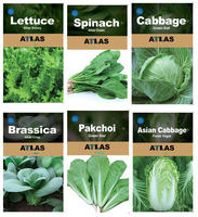 Kit de survie pour jardin potager Atlas, 29 variétés modernes, origine Chine, pour la culture des légumes