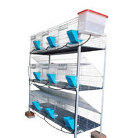 Cage d'élevage de lapins commerciale en treillis métallique durable galvanisé