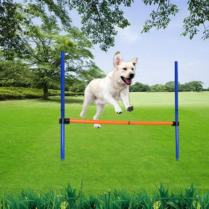 Attrezzatura per Addestramento Cani Set Agility per Cani Barra Ostacolo per Cani Gioco di Corsa e Salto per Cani Set per Addestramento all'Obbedienza - Product Image 2