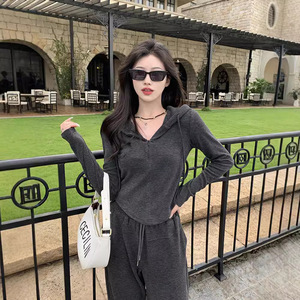 Women's Casual Two Piece Set Grey Oatmeal Hooded Sweatshirt Loose Wide Leg Pants Spring Autumn Solid Color Polyester - Product Image 1