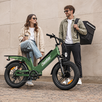 8A Schnellladung 48V 55Ah Halbfester Akku E-Bike 240KM Reichweite 203mm Scheibenbremse Wasserdichtes Essenslieferfahrrad D55