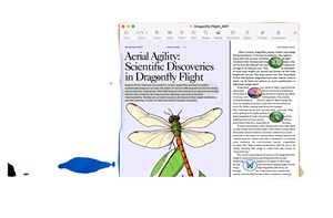 Clave Digital en Línea para Internet para <span class=keywords><strong>Mac</strong></span>, Versión Hogar y Negocios 2019, Descarga Digital, Entrega Inmediata, en Stock - Product Image 4