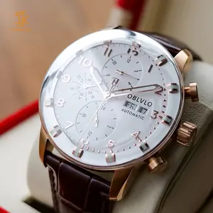 High Quality Stainless Steel Dress Watch Luxury Custom Brand Automatic Men Mechanical Watches For Men With Calender Week Days