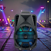 Sistema de Karaoke Portátil para Exteriores de Alta Fidelidad, Micrófono Inalámbrico 5.0, Woofer de 12 Pulgadas, Salida de 20 W, Iluminación LED RGB, Altavoz con Tarjeta de Memoria, 5-10 Horas de Duración