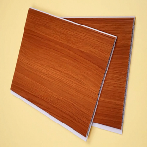 Panel de PVC de Doble Pared de 9 mm de Espesor para Interiores y Exteriores, Clásico y Moderno, Precio de Fábrica, 600 mm de Ancho, Resistente al Fuego e Impermeable, Comercial - Product Image 1