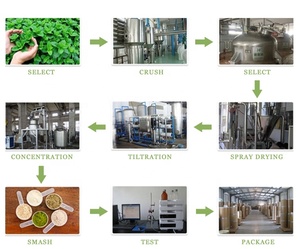 Bán Sỉ 100% Natri Đồng Nguyên Chất Diệp Lục - Product Image 2