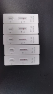 <strong>Malaria</strong> Pf Rapid <strong>Test</strong> cassette - Product Image 2