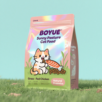 Sachet Doypack en aluminium laminé grande capacité 1kg 2kg avec poignée pour aliments pour animaux de compagnie, croquettes pour chiens et chats, emballage en vrac