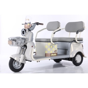 Meilleur prix Vélo électrique à <span class=keywords><strong>3</strong></span> <span class=keywords><strong>roues</strong></span> ouvert 60V 650W pour passagers adultes, avec affichage numérique LED - Product Image 2