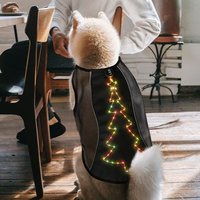 Premium Luxus Polyester Verstellbarer Sommer-Kühlmantel Atmungsaktives Mesh Leichtgewichtig Waschbar Bunter LED-Hundemantel für Weihnachten