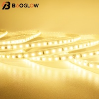 免驱动、IP67防水LED灯带，超薄照明灯带，适用于景观、室外泳池、花园装饰