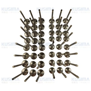 工厂备件优质汽车发动机系统阀门套件适用于奥迪大众 6.0 6.0L 汽油发动机 OE 022109601F 022109611B - Product Image 2