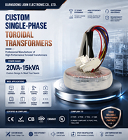 Amplificateur de puissance à transformateur toroïdal en cuivre 1000W 2000W 3000W avec topologie Flyback monophasée, entrée 220V, sortie 12V