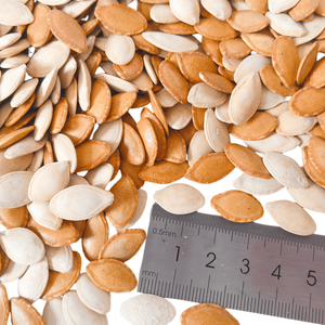 Semillas <span class=keywords><strong>de</strong></span> <span class=keywords><strong>Calabaza</strong></span> Rojas Tostadas Secas <span class=keywords><strong>de</strong></span> Alta Calidad, Listas para Comer, Refrigerio, Venta al por Mayor, Compatible con OEM - Product Image 3