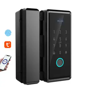 Wifi Tuya App Remote Control Smart Fingerprint With Ic Card Password Sliding Aluminium Frame Glass Door Lock