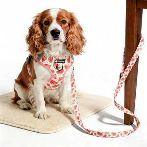 <span class=keywords><strong>Harness</strong></span> Anjing Kustom, Tali, Tempat Kantong Kotoran, Branding Lengkap, Buat Merek Hewan Peliharaan Anda, Set <span class=keywords><strong>Harness</strong></span> Anjing Anti Tarik - Product Image 3