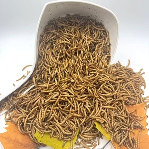 Vermi della farina essiccati a microonde per uccelli pesci lucertole ragni gechi ricci camaleonti criceti ecc. Dolcetti - Product Image 3