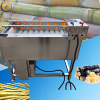 Commerciële groentewasmachine, suikerrietwolrolwasmachine
