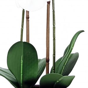 Eco-friendly High Quality 3D Printing Orchids <b>Artificial</b> <b>Flowers</b> for Outdoor Indoor Decoration - Product Image 5