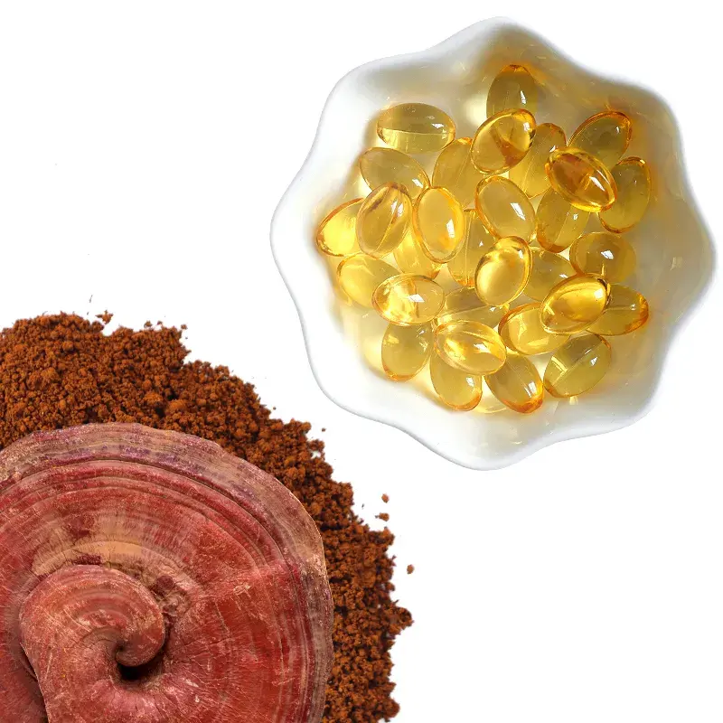 थोक कार्बनिक Reishi मशरूम बीजाणु तेल निकालने कैप्सूल Lingzhi Ganoderma Lucidum बीजाणु तेल