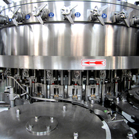Machine automatique de fabrication de boissons gazeuses / Ligne de remplissage d'eau gazeuse en bouteille PET CSD