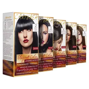 Wholesale Hot Selling Long Lasting Color Hair Color New Star Hair Color Hair Dye Cream Kit