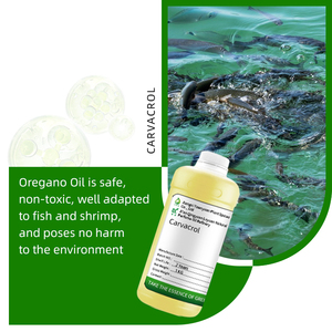 Aceite de Orégano 1 kg 85% Carvacrol para Acuicultura, Alimento de Carvacrol para Camarones - Product Image 4