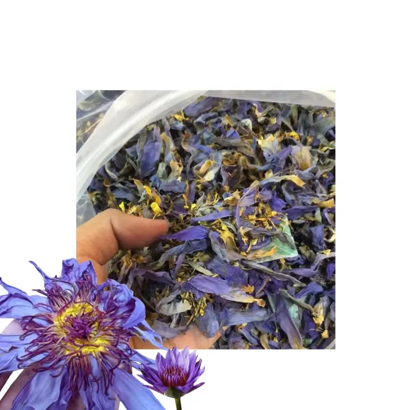 1 kg乾燥ブルーロータス花びら茶茶中国の漢方薬バルク卸売ニンファエアL.アントシアニングリコールが豊富