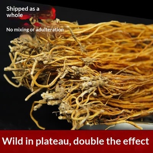 Rhizome de <span class=keywords><strong>Gentiane</strong></span> <span class=keywords><strong>Sauvage</strong></span> Japonaise Authentique en Gros – Gentiana Scabra – Racine de Plante Médicinale pour Infusion - Product Image 2