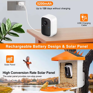 Mangeoire <span class=keywords><strong>pour</strong></span> <span class=keywords><strong>oiseaux</strong></span> - Product Image 3