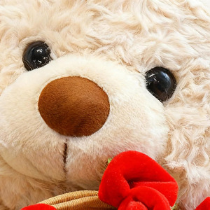 Orsacchiotto di Peluche, Giocattolo Decorativo, Cuscino, Figura da Abbracciare, Bouquet, Oggetto da Collezione, Orsetto da Abbracciare - Product Image 3