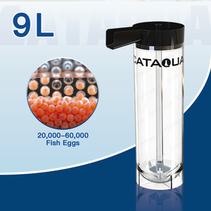 Systèmes d'aquaculture RAS à flux ascendant pour équipements d'écloserie de poissons, incubateur de type McDonald avec pot en acrylique haute transparence - Product Image 2