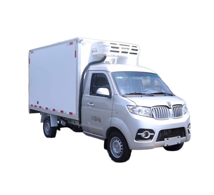 Новые небольшие рефрижераторы SRM Brilliance Shineray 1,5 т бензиновые рефрижераторы для продажи Южная Африка