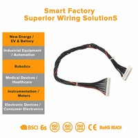 Kabel Harness Sinyal Tembaga Berlapis Timah Terproteksi 2-Core 0.75mm dengan Rating IP67 untuk Modul PLC I/O, Sensor Industri, dan Sepeda Motor
