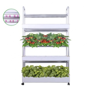 Mini Invernadero Inteligente con Luz LED para el Hogar, Sistema Hidropónico para Cultivo de Hierbas y Vegetales, Kit de Cultivo Hidropónico Interior - Product Image 2