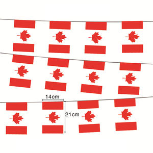 定制美国国旗广告厂悬挂横幅促销旗帜和横幅 - Product Image 4