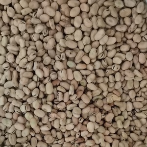 Đậu Rộng Khô Cấp Thức Ăn Đậu Rộng Nhỏ Cho Thức Ăn Chăn Nuôi/Bột Đậu Rộng - Product Image 6