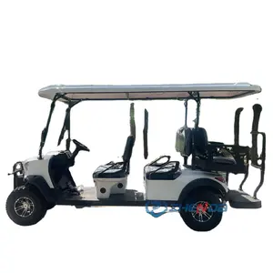 Electric Vehicle And Golf Cart Manufacturer/Complete Qualifications/Support Customization And Bidding